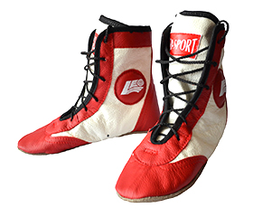Борцовки LEO SPORT натуральная кожа