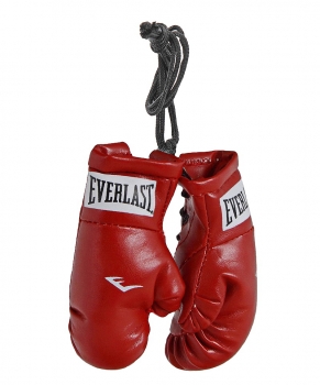Брелок Everlast Mini Boxing Glove In Paris 